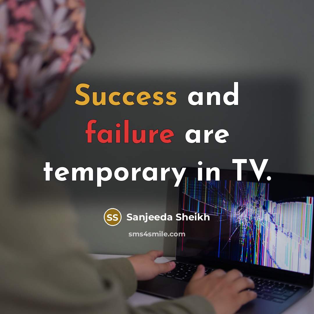 “Success and failure are temporary in TV.” quote by Sanjeeda Sheikh