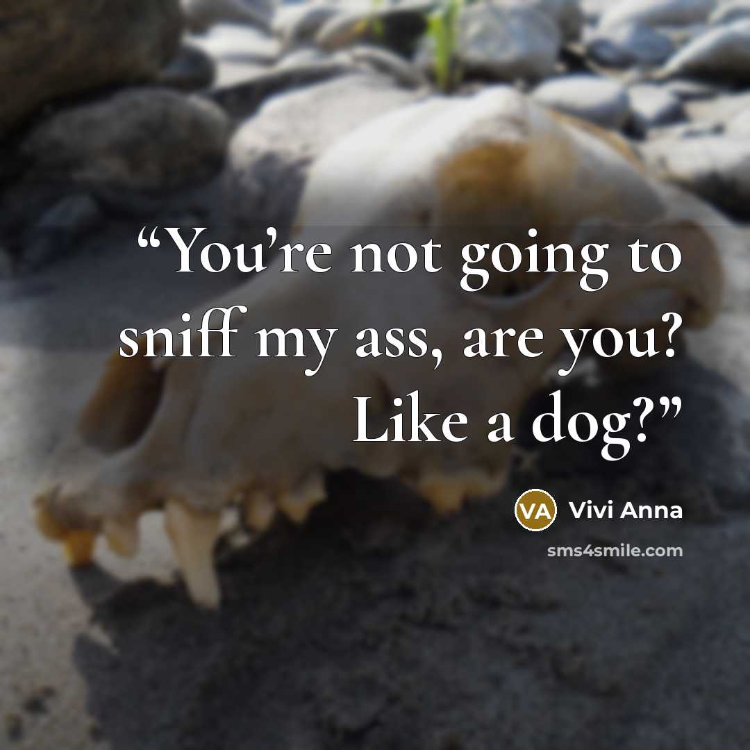“You’re not going to sniff my ass, are you? Like a dog?” quote by Vivi Anna