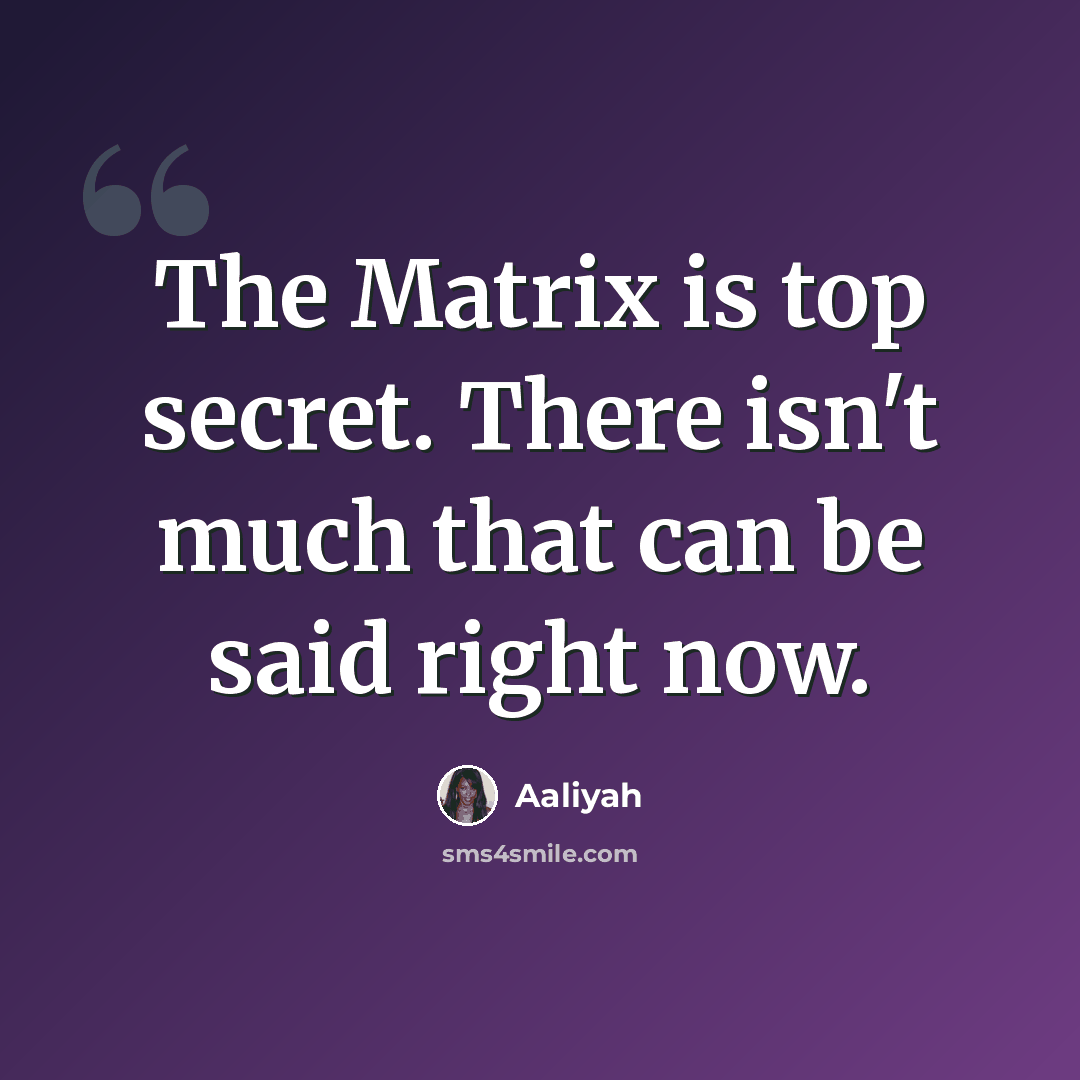 “The Matrix is top secret. There isn't much that can be said right now.” quote by Aaliyah