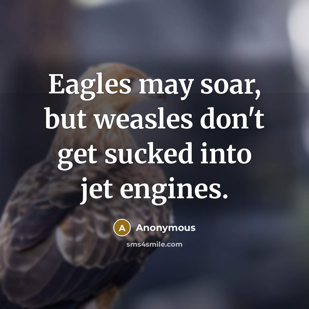 “Eagles may soar, but weasles don't get sucked into jet engines.” quote by Anonymous