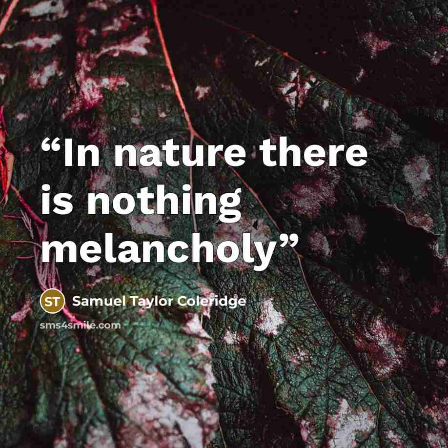“In nature there is nothing melancholy” quote by Samuel Taylor Coleridge