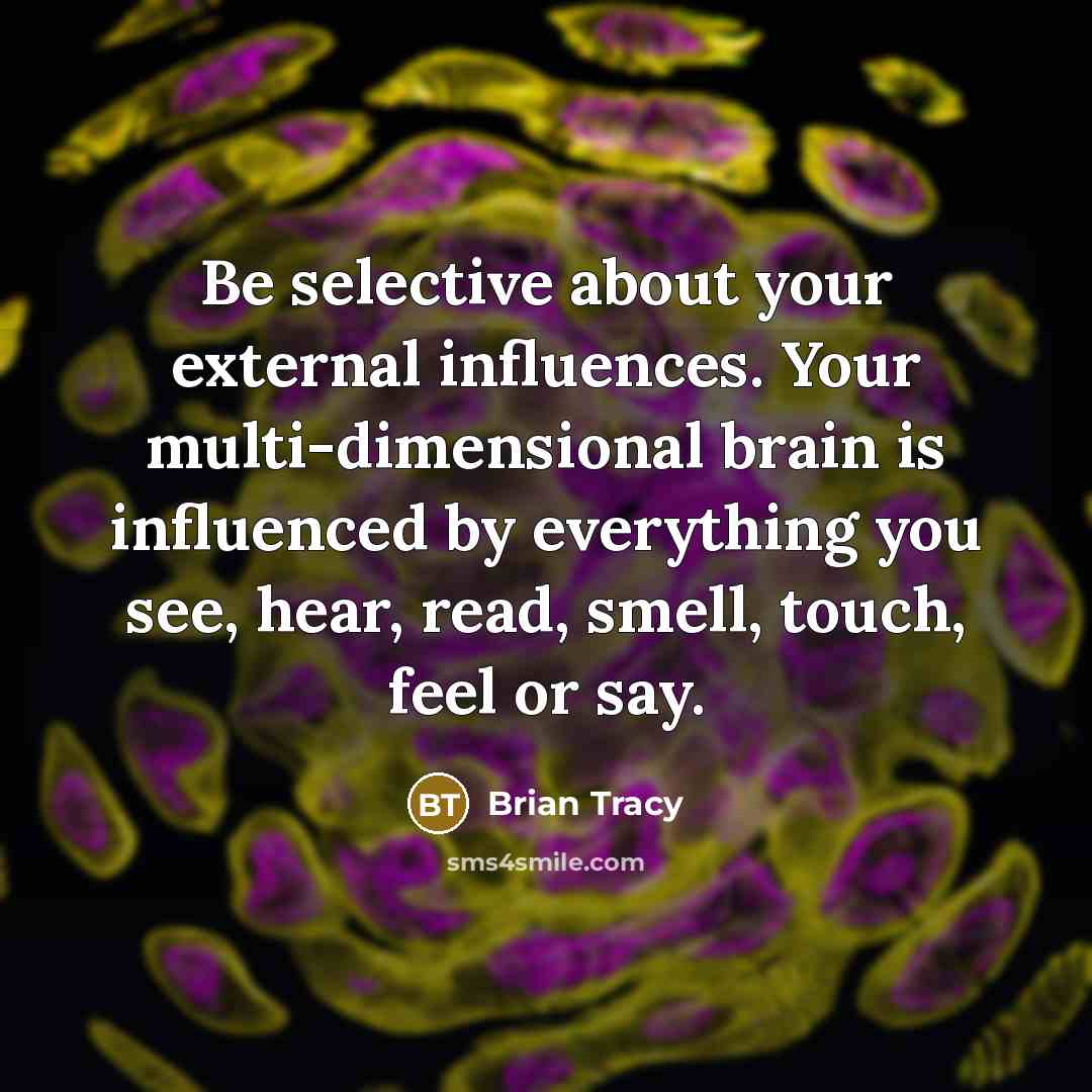 “Be selective about your external influences. Your multi-dimensional brain is influenced by everything you see, hear, read, smell, touch, feel or say.” quote by Brian Tracy