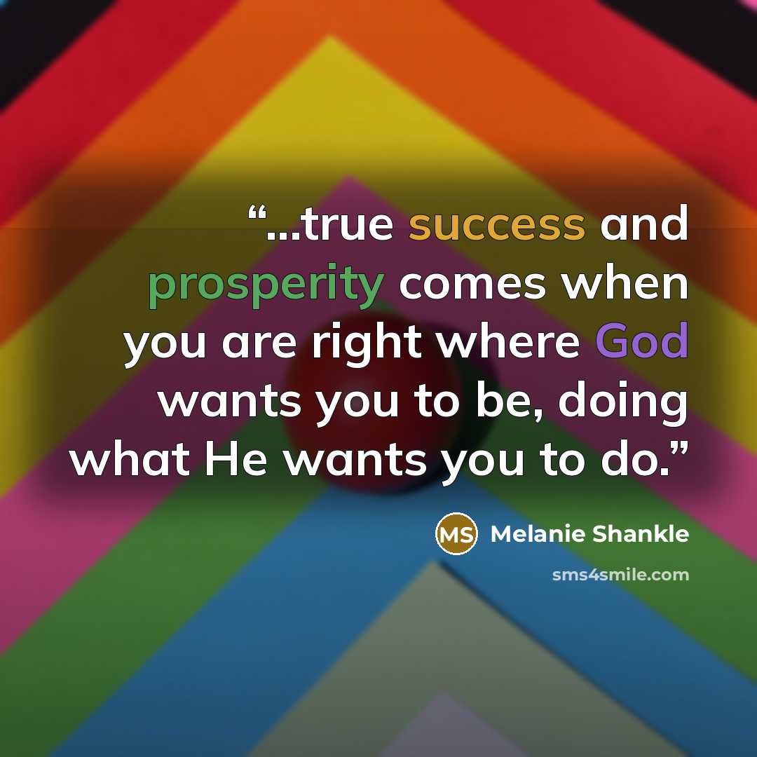 “...true success and prosperity comes when you are right where God wants you to be, doing what He wants you to do.” quote by Melanie Shankle