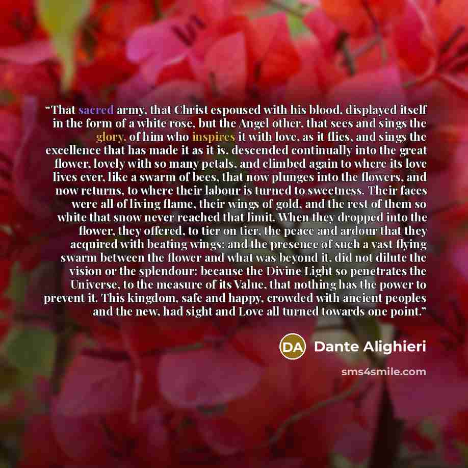 “That sacred army, that Christ espoused with his blood, displayed itself in the form of a white rose, but the Angel other, that sees and sings the glory, of him who inspires it with love, as it flies, and sings the excellence that has made it as it is, descended continually into the great flower…” quote by Dante Alighieri