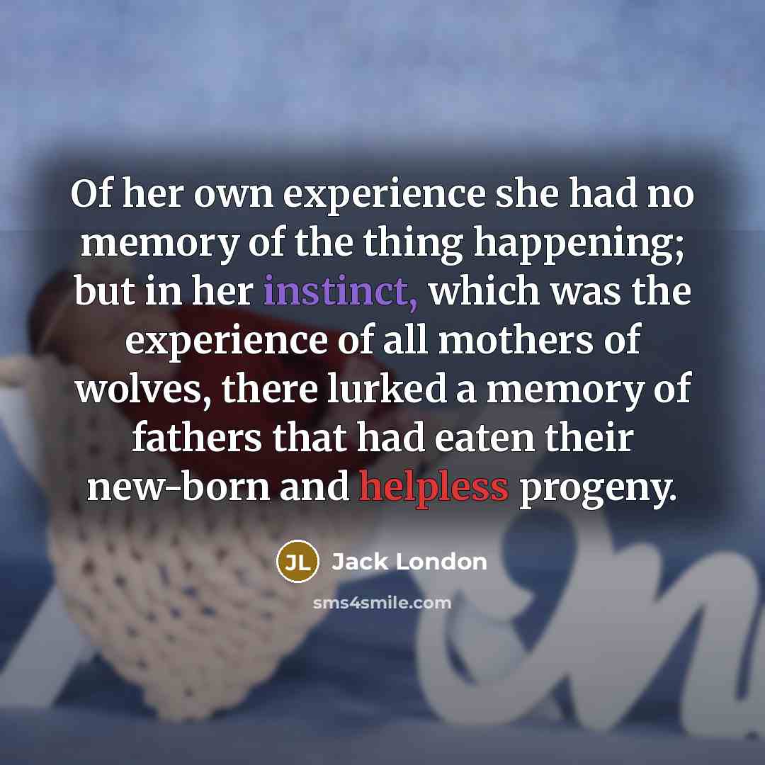 “Of her own experience she had no memory of the thing happening; but in her instinct, which was the experience of all mothers of wolves, there lurked a memory of fathers that had eaten their new-born and helpless progeny.” quote by Jack London