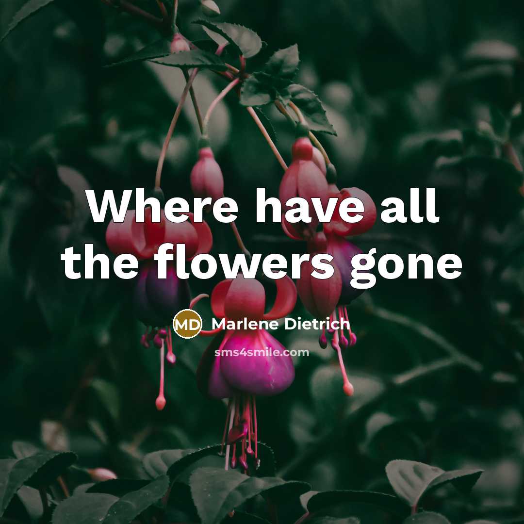 “Where have all the flowers gone” quote by Marlene Dietrich