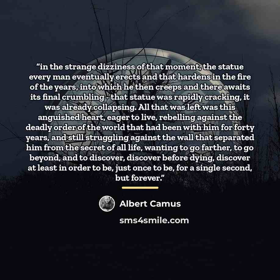 “in the strange dizziness of that moment, the statue every man eventually erects and that hardens in the fire of the years, into which he then creeps and there awaits its final crumbling - that statue was rapidly cracking, it was already collapsing. All that was left was this anguished heart, eager…” quote by Albert Camus
