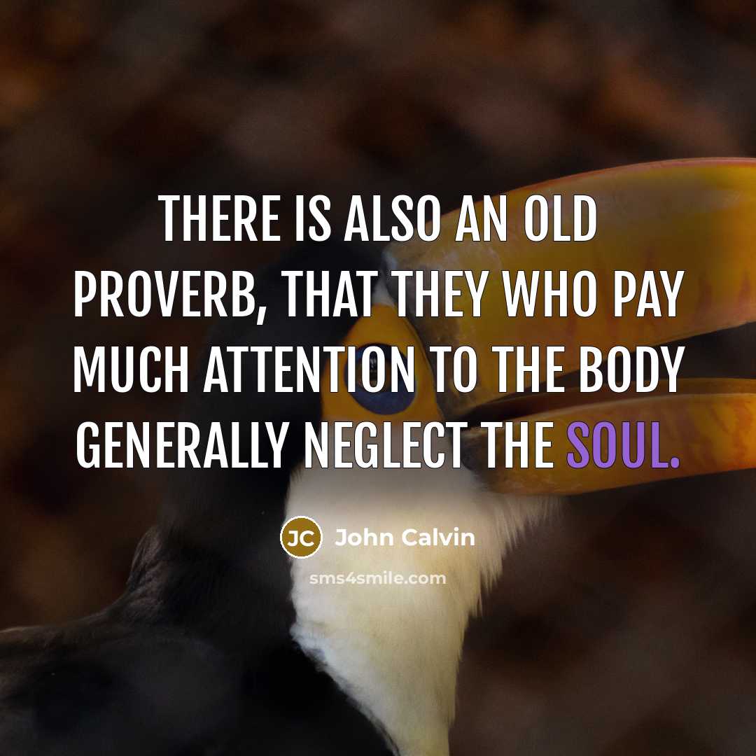 “There is also an old proverb, that they who pay much attention to the body generally neglect the soul.” quote by John Calvin