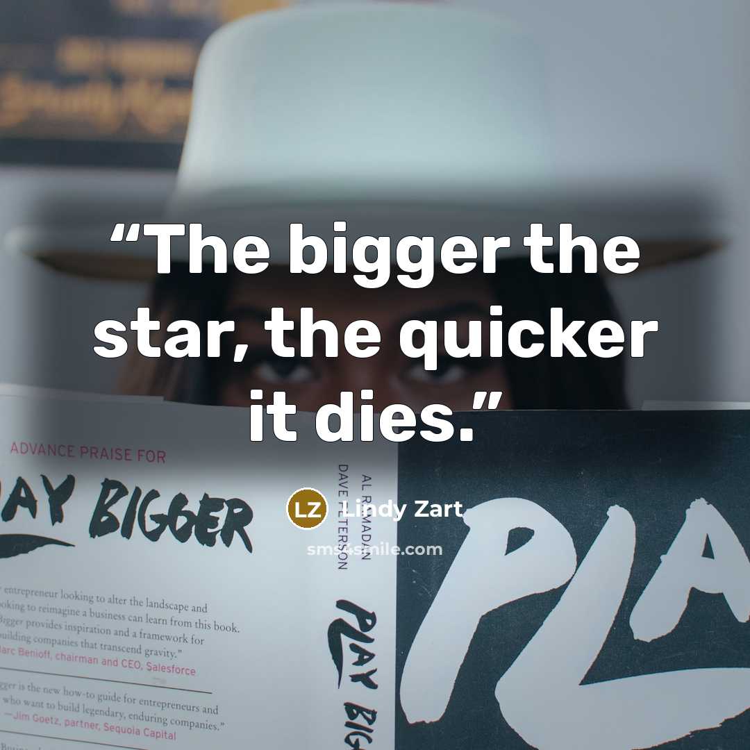 “The bigger the star, the quicker it dies.” quote by Lindy Zart