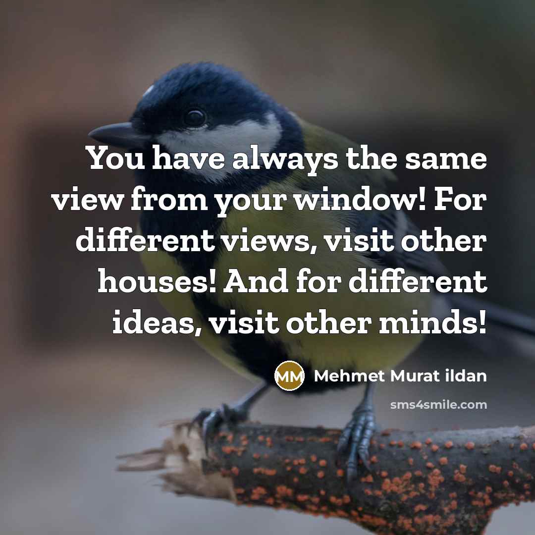 “You have always the same view from your window! For different views, visit other houses! And for different ideas, visit other minds!” quote by Mehmet Murat Ildan
