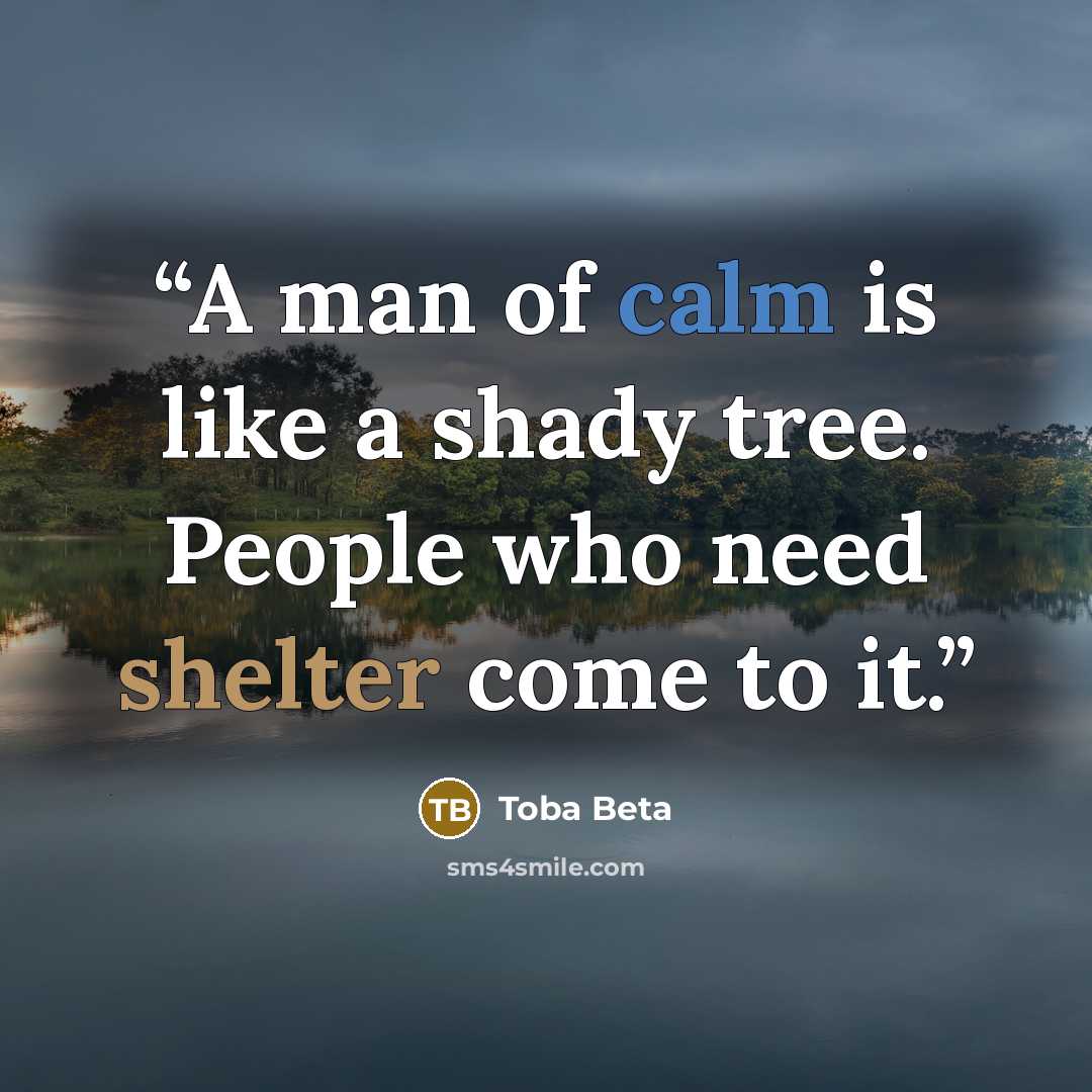 “A man of calm is like a shady tree. People who need shelter come to it.” quote by Toba Beta