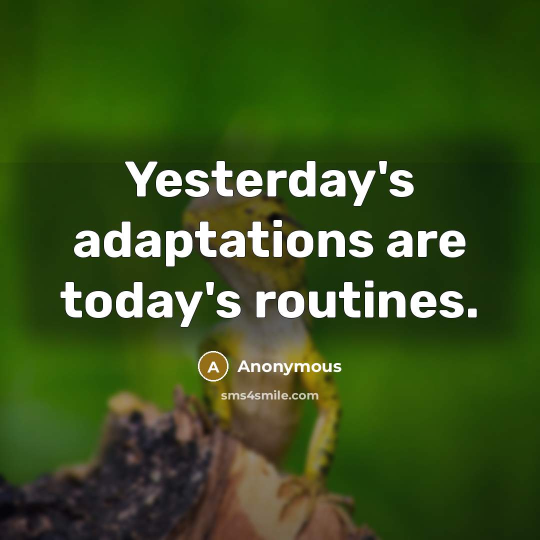 “Yesterday's adaptations are today's routines.” quote by Anonymous