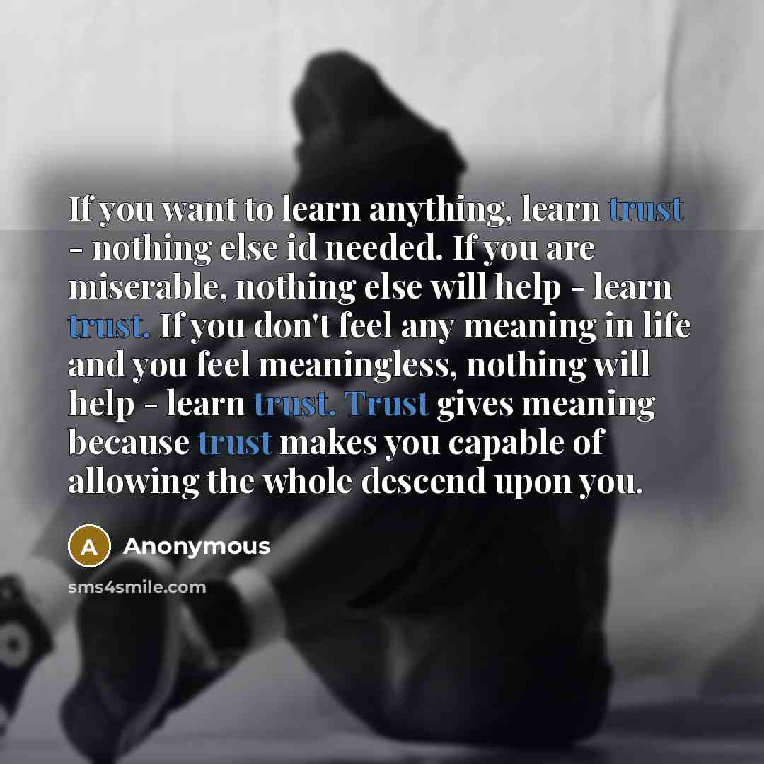 “If you want to learn anything, learn trust - nothing else id needed. If you are miserable, nothing else will help - learn trust. If you don't feel any meaning in life and you feel meaningless, nothing will help - learn trust. Trust gives meaning because trust makes you capable of allowing the…” quote by Anonymous