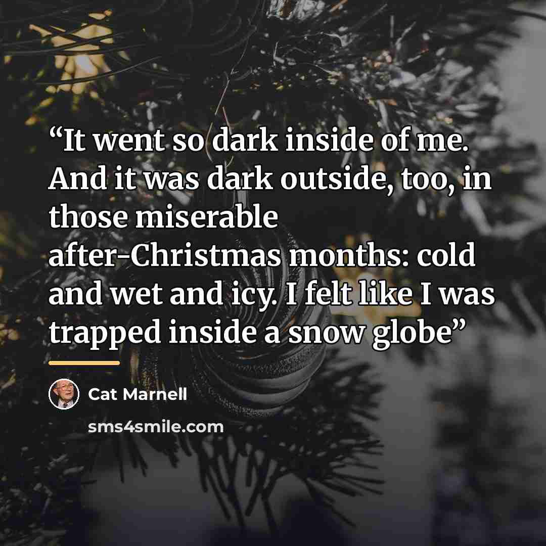 “It went so dark inside of me. And it was dark outside, too, in those miserable after-Christmas months: cold and wet and icy. I felt like I was trapped inside a snow globe” quote by Cat Marnell