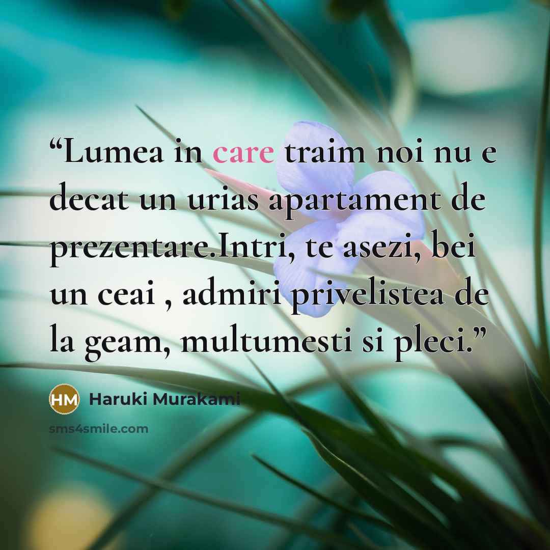 “Lumea in care traim noi nu e decat un urias apartament de prezentare.Intri, te asezi, bei un ceai , admiri privelistea de la geam, multumesti si pleci.” quote by Haruki Murakami