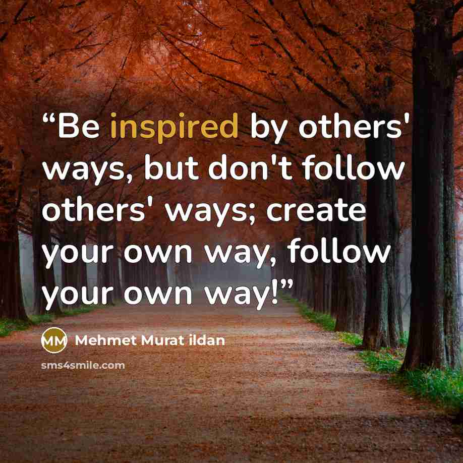 “Be inspired by others' ways, but don't follow others' ways; create your own way, follow your own way!” quote by Mehmet Murat ildan
