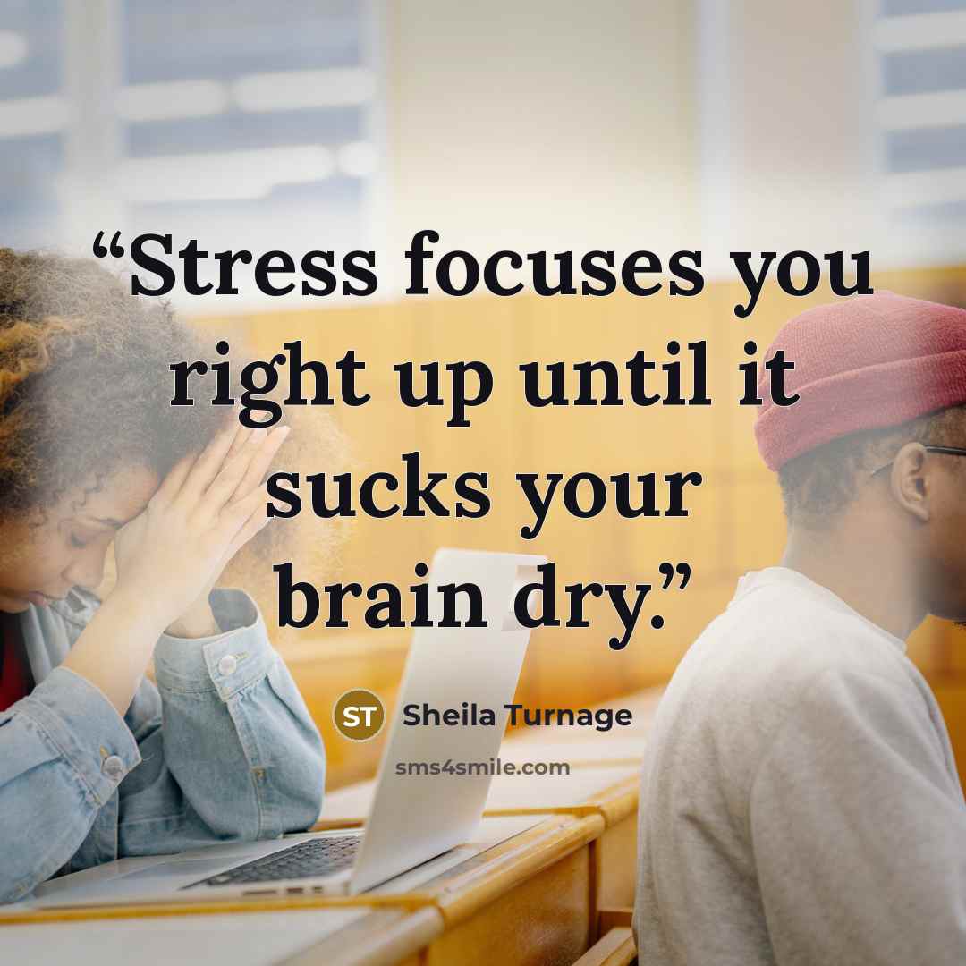 “Stress focuses you right up until it sucks your brain dry.” quote by Sheila Turnage