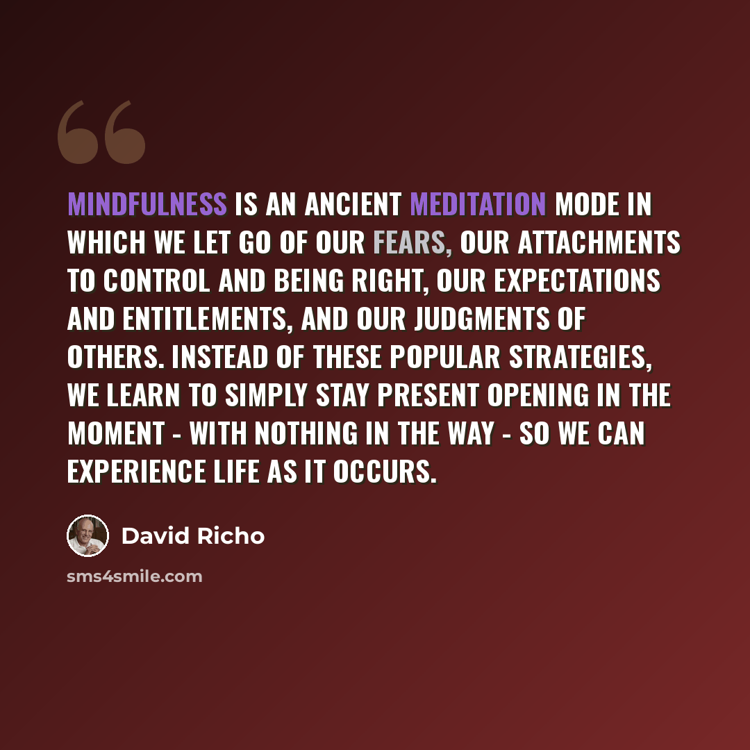 “Mindfulness is an ancient meditation mode in which we let go of our fears, our attachments to control and being right, our expectations and entitlements, and our judgments of others. Instead of these popular strategies, we learn to simply stay present opening in the moment - with nothing in the…” quote by David Richo