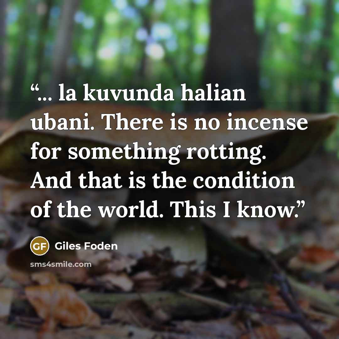 “... la kuvunda halian ubani. There is no incense for something rotting. And that is the condition of the world. This I know.” quote by Giles Foden