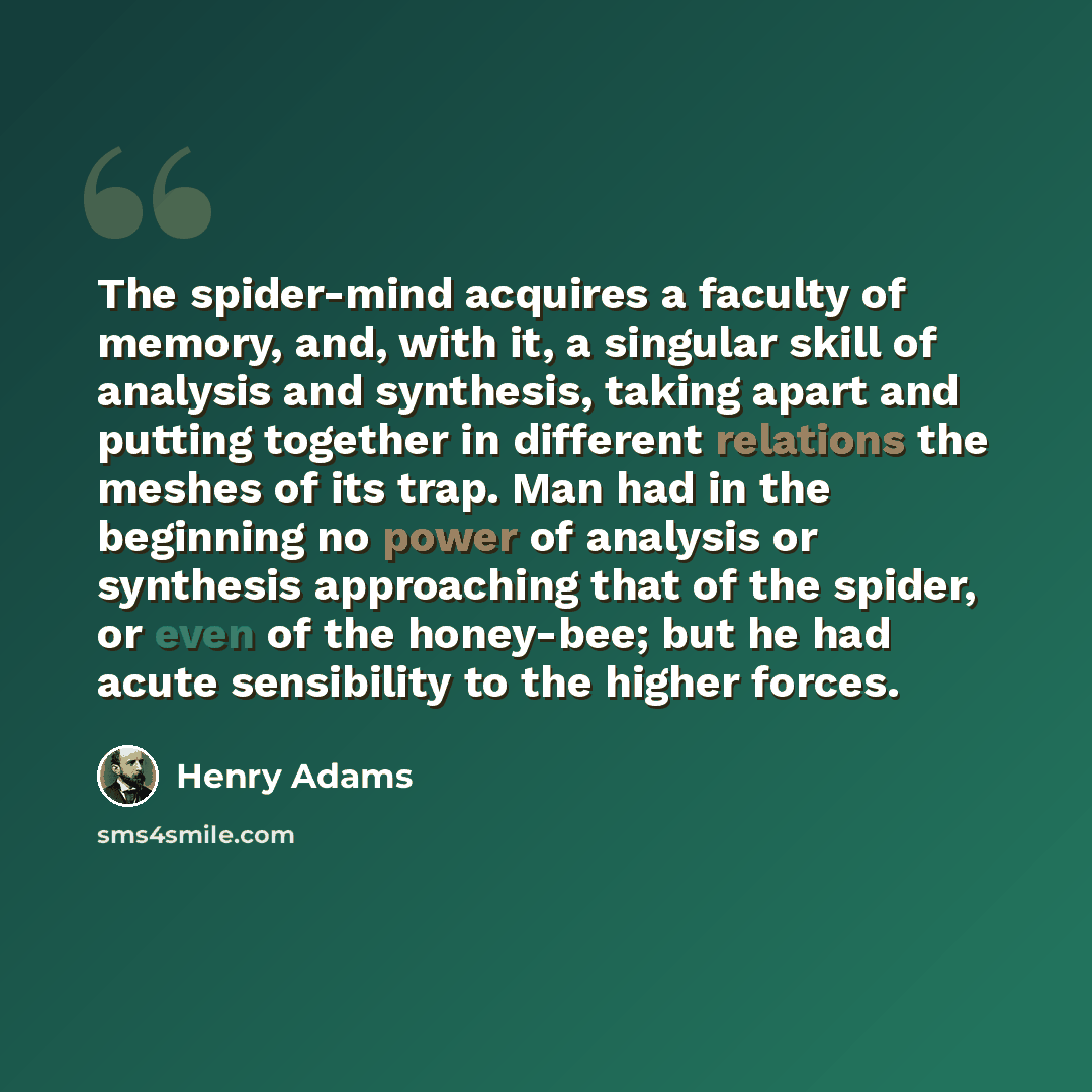 “The spider-mind acquires a faculty of memory, and, with it, a singular skill of analysis and synthesis, taking apart and putting together in different relations the meshes of its trap. Man had in the beginning no power of analysis or synthesis approaching that of the spider, or even of the…” quote by Henry Adams