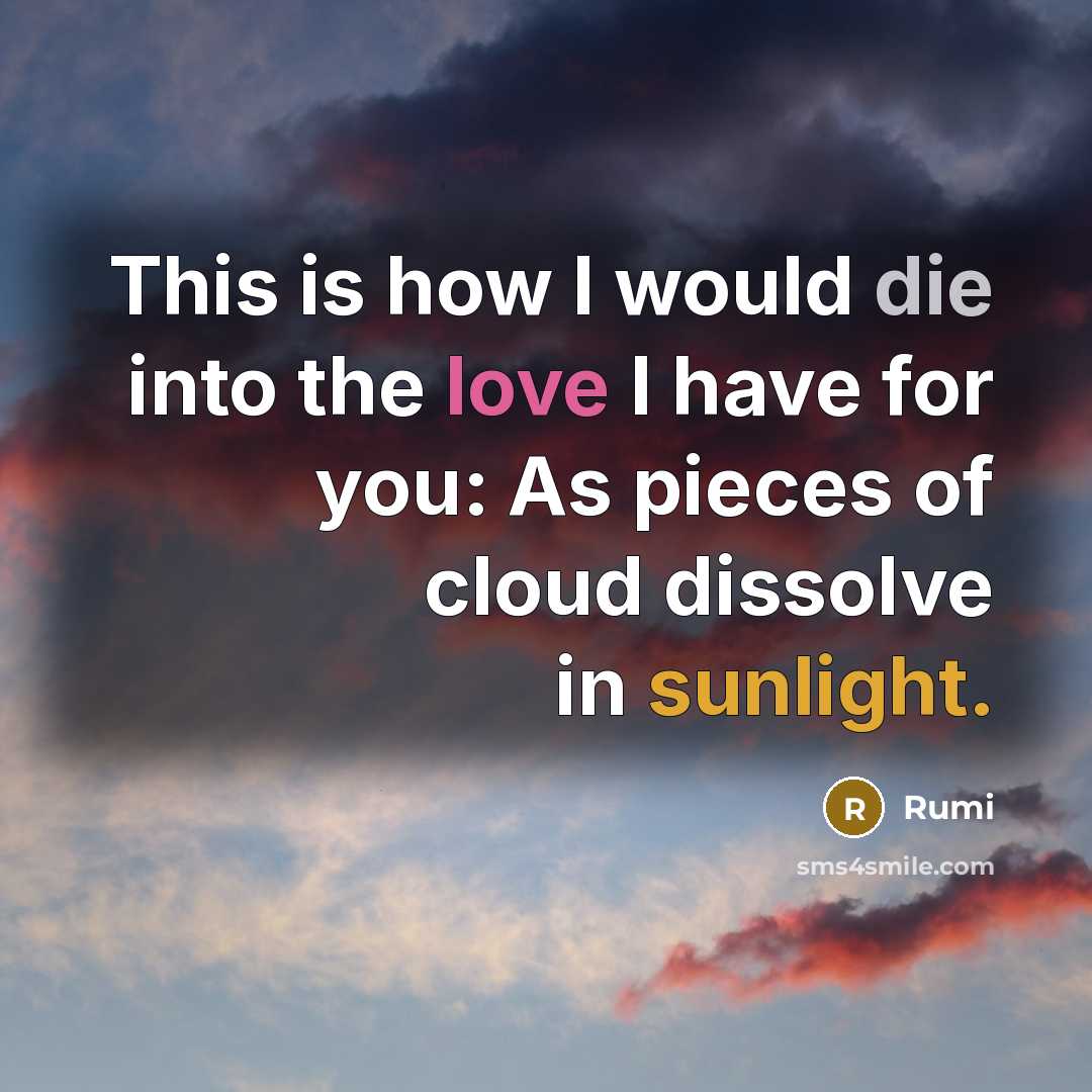 “This is how I would die into the love I have for you: As pieces of cloud dissolve in sunlight.” quote by Rumi