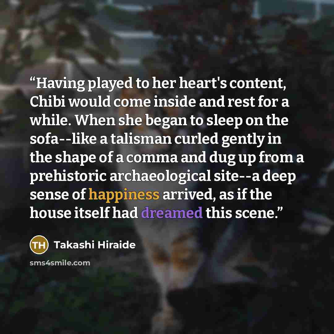 “Having played to her heart's content, Chibi would come inside and rest for a while. When she began to sleep on the sofa--like a talisman curled gently in the shape of a comma and dug up from a prehistoric archaeological site--a deep sense of happiness arrived, as if the house itself had dreamed…” quote by Takashi Hiraide
