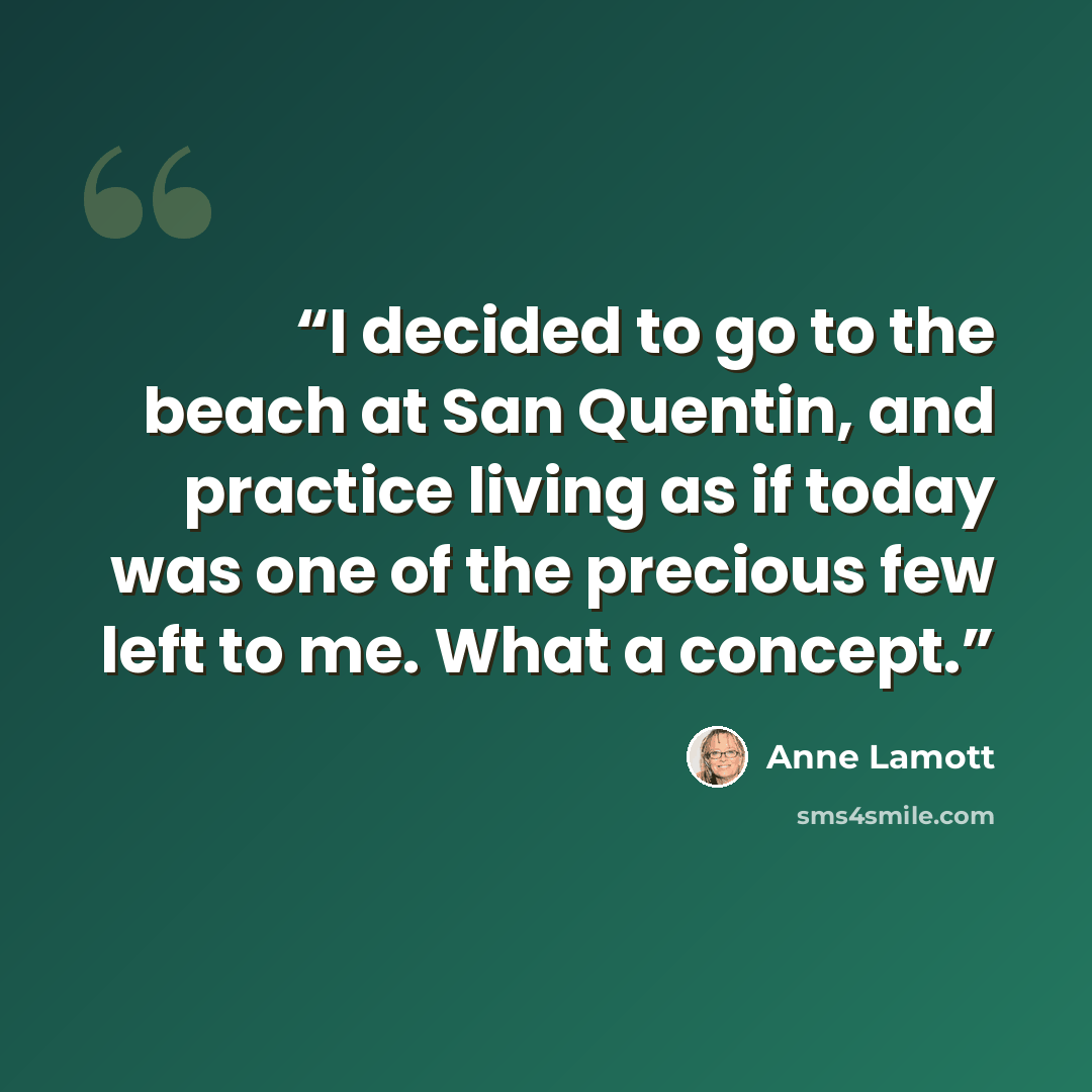 “I decided to go to the beach at San Quentin, and practice living as if today was one of the precious few left to me. What a concept.” quote by Anne Lamott