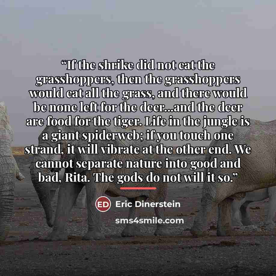 “If the shrike did not eat the grasshoppers, then the grasshoppers would eat all the grass, and there would be none left for the deer...and the deer are food for the tiger. Life in the jungle is a giant spiderweb; if you touch one strand, it will vibrate at the other end. We cannot separate nature…” quote by Eric Dinerstein