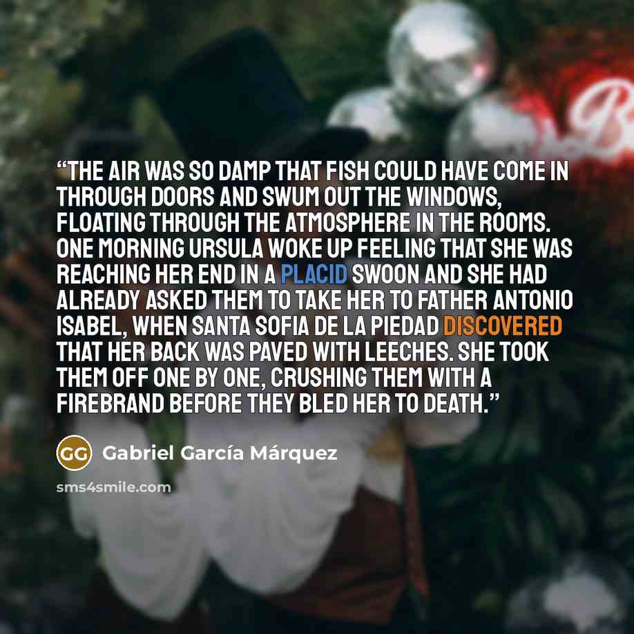 “The air was so damp that fish could have come in through doors and swum out the windows, floating through the atmosphere in the rooms. One morning Ursula woke up feeling that she was reaching her end in a placid swoon and she had already asked them to take her to Father Antonio Isabel, when Santa…” quote by Gabriel García Márquez