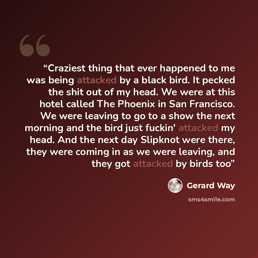 “Craziest thing that ever happened to me was being attacked by a black bird. It pecked the shit out of my head. We were at this hotel called The Phoenix in San Francisco. We were leaving to go to a show the next morning and the bird just fuckin' attacked my head. And the next day Slipknot were…” quote by Gerard Way