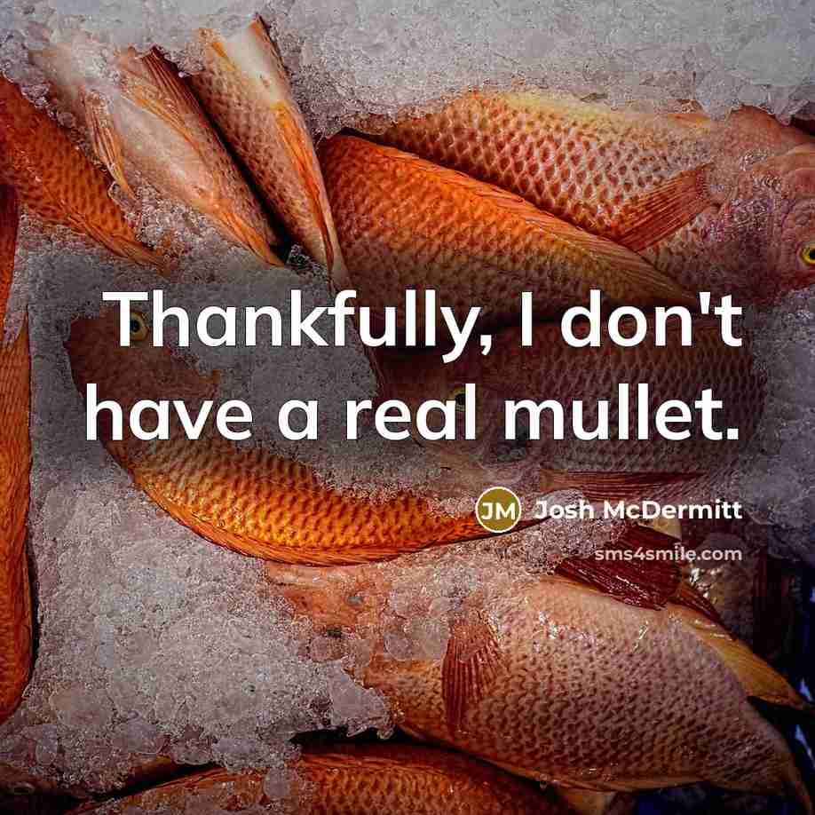 “Thankfully, I don't have a real mullet.” quote by Josh McDermitt