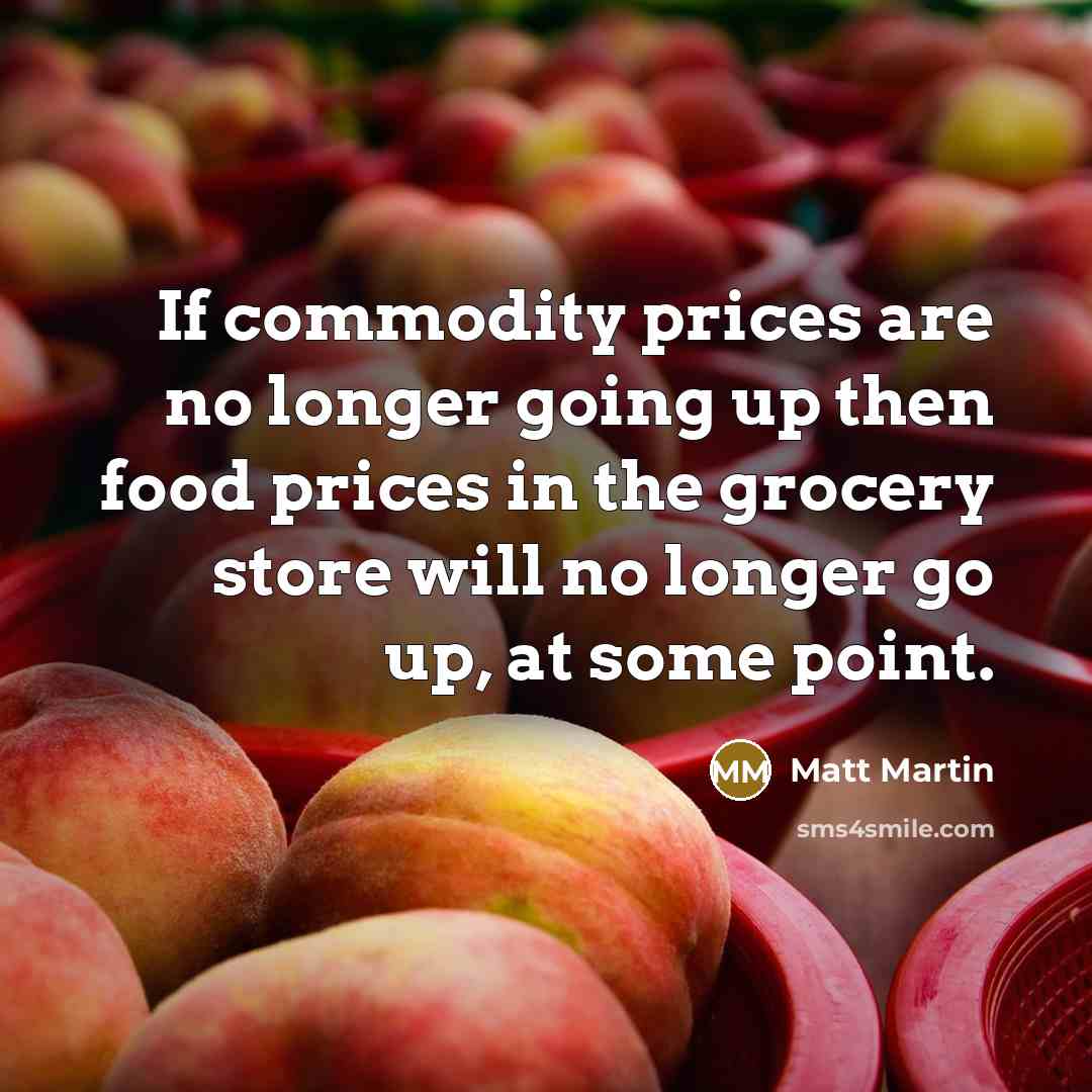 “If commodity prices are no longer going up then food prices in the grocery store will no longer go up, at some point.” quote by Matt Martin
