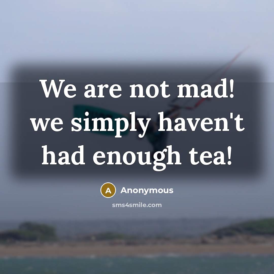 “We are not mad! we simply haven't had enough tea!” quote by Anonymous