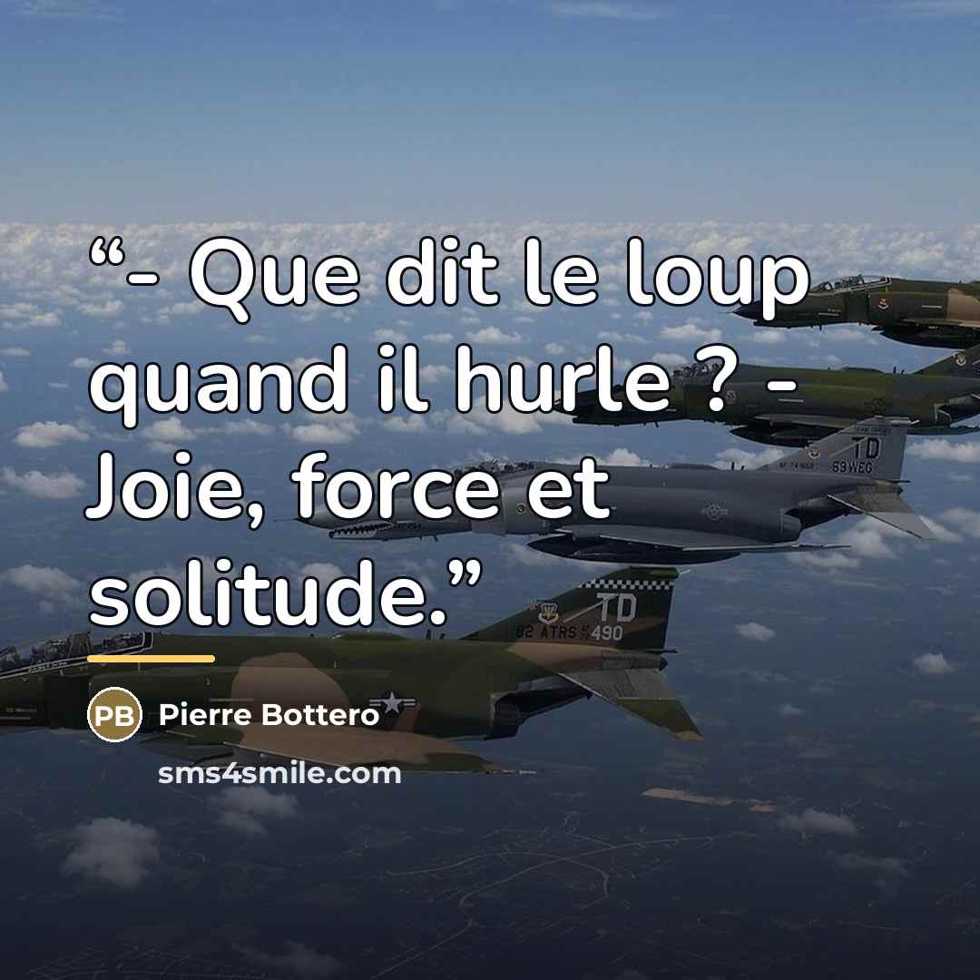 “- Que dit le loup quand il hurle ? - Joie, force et solitude.” quote by Pierre Bottero