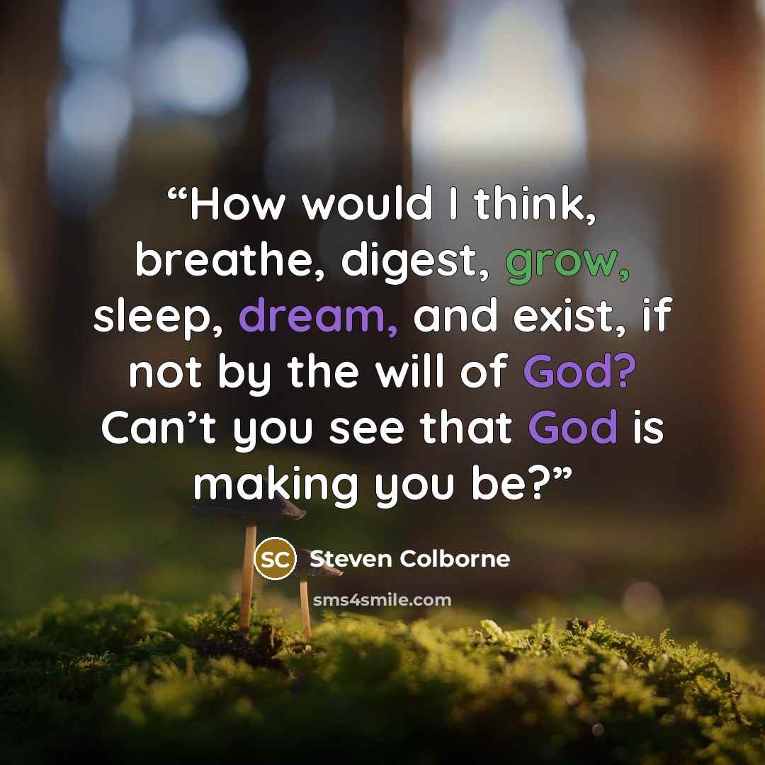 “How would I think, breathe, digest, grow, sleep, dream, and exist, if not by the will of God? Can’t you see that God is making you be?” quote by Steven Colborne