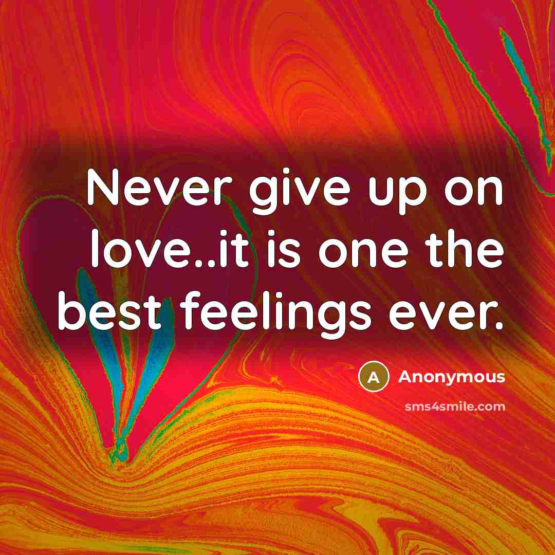 “Never give up on love..it is one the best feelings ever.” quote by Anonymous
