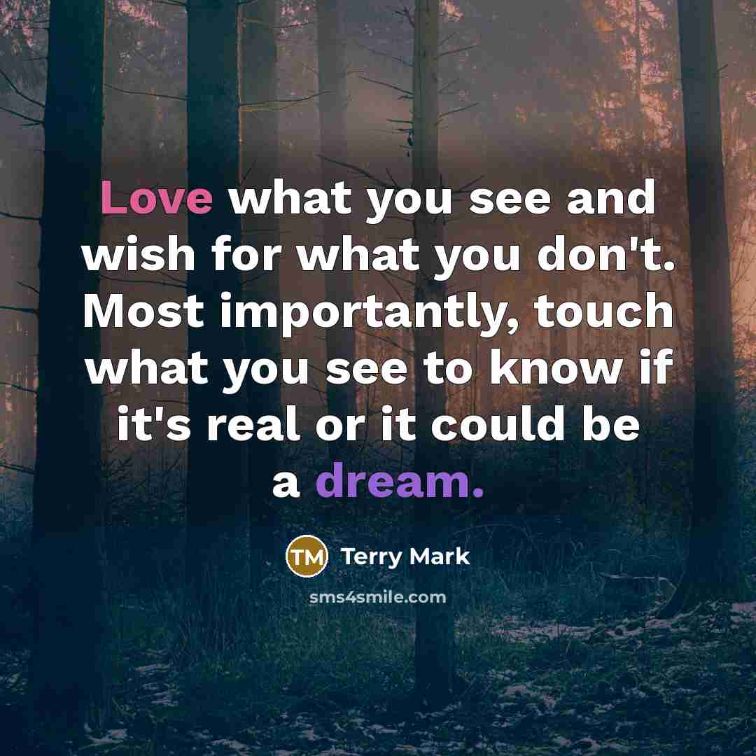 “Love what you see and wish for what you don't. Most importantly, touch what you see to know if it's real or it could be a dream.” quote by Terry Mark