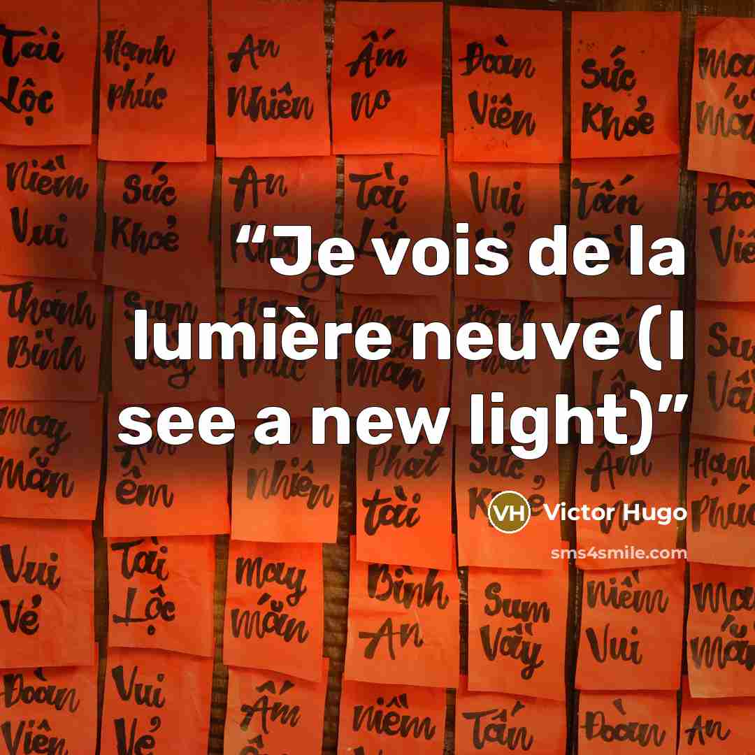 “Je vois de la lumière neuve (I see a new light)” quote by Victor Hugo
