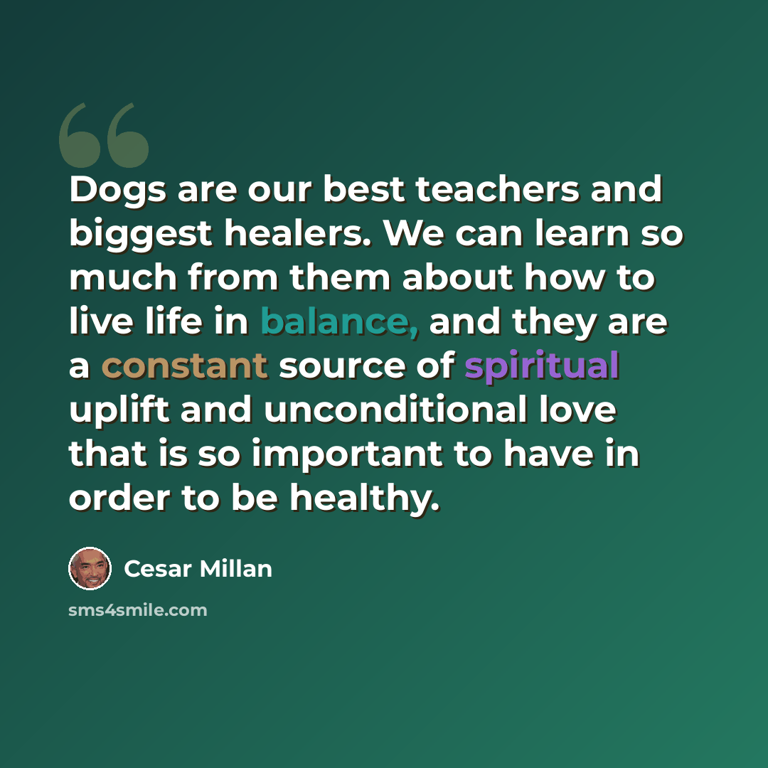 “Dogs are our best teachers and biggest healers. We can learn so much from them about how to live life in balance, and they are a constant source of spiritual uplift and unconditional love that is so important to have in order to be healthy.” quote by Cesar Millan