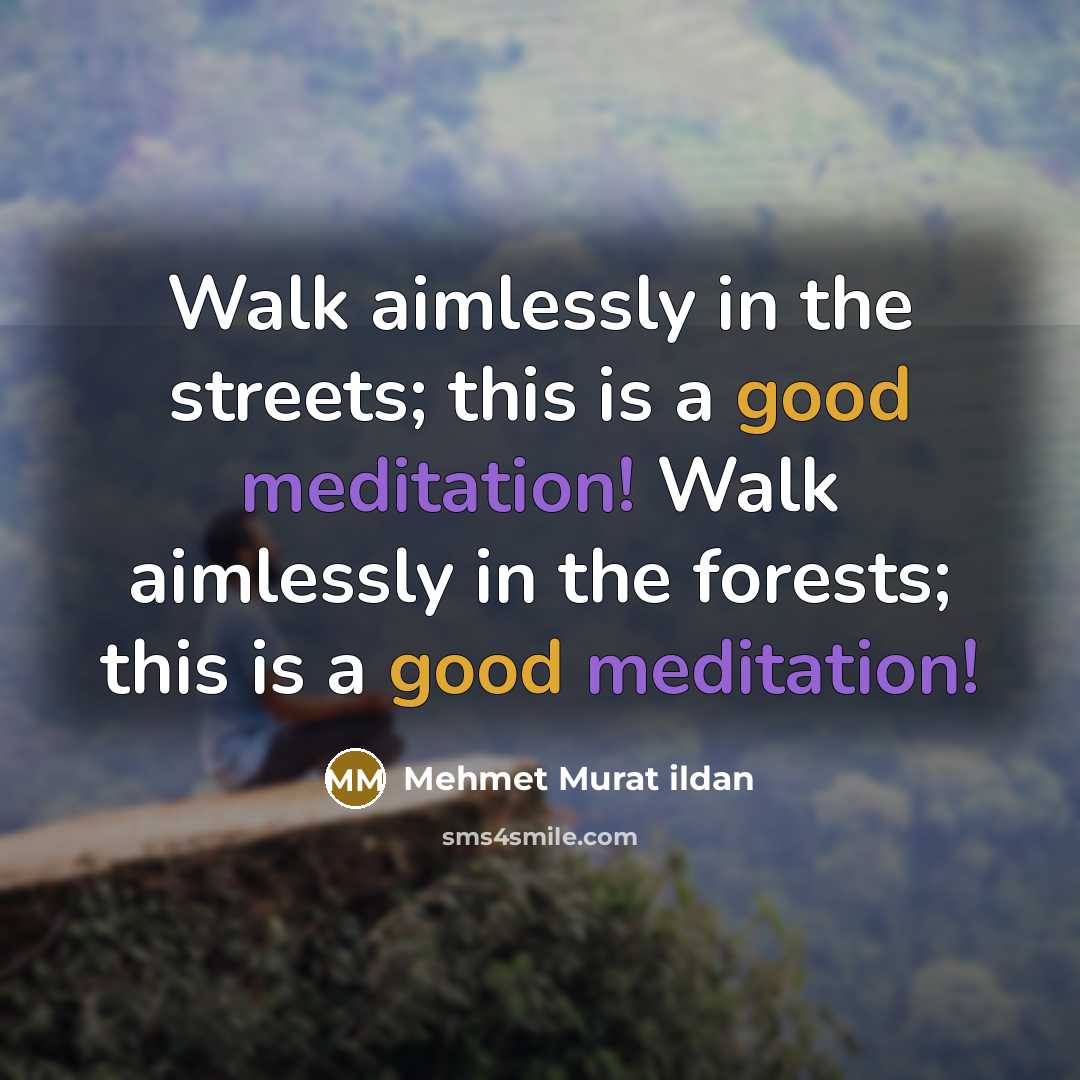 “Walk aimlessly in the streets; this is a good meditation! Walk aimlessly in the forests; this is a good meditation!” quote by Mehmet Murat Ildan