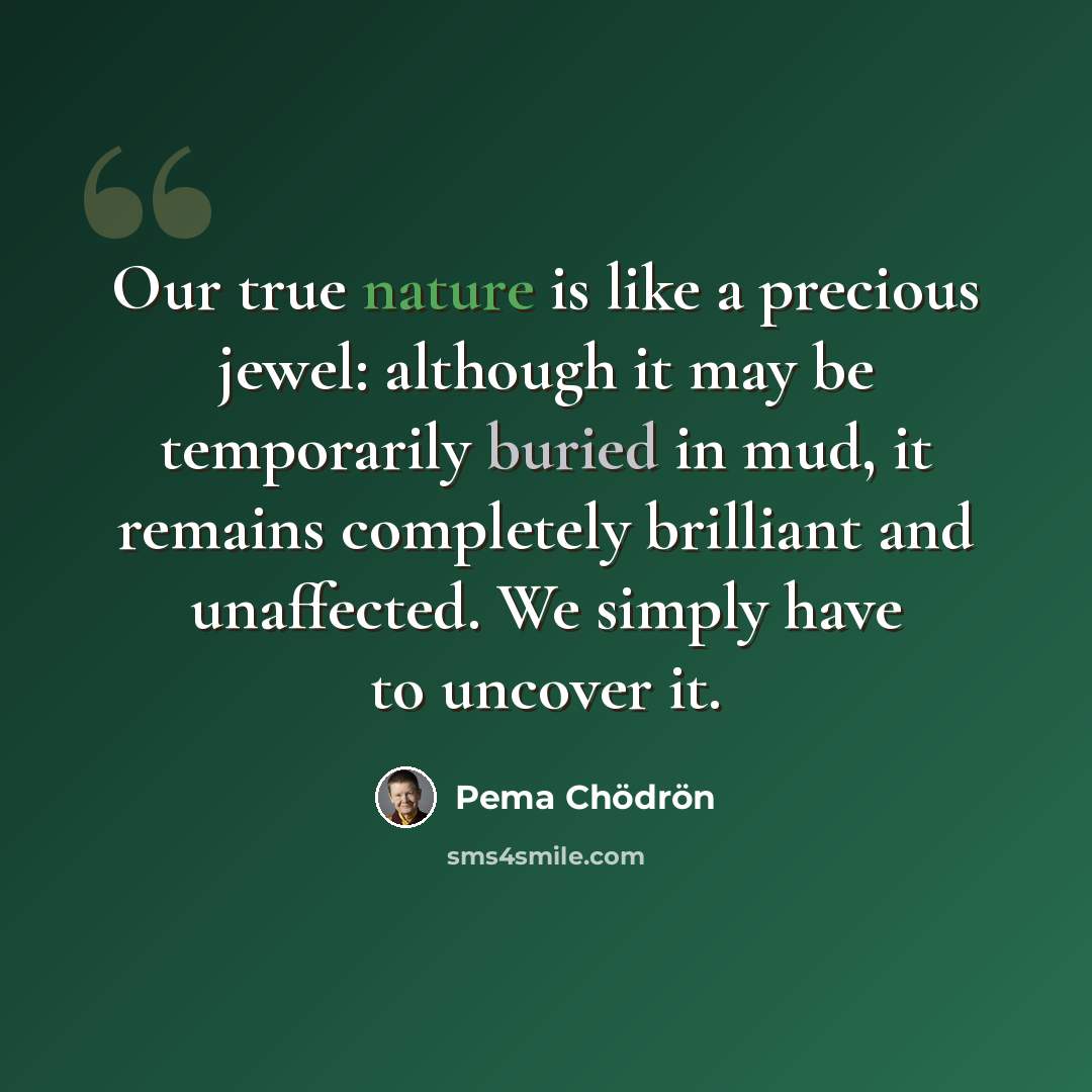 “Our true nature is like a precious jewel: although it may be temporarily buried in mud, it remains completely brilliant and unaffected. We simply have to uncover it.” quote by Pema Chodron