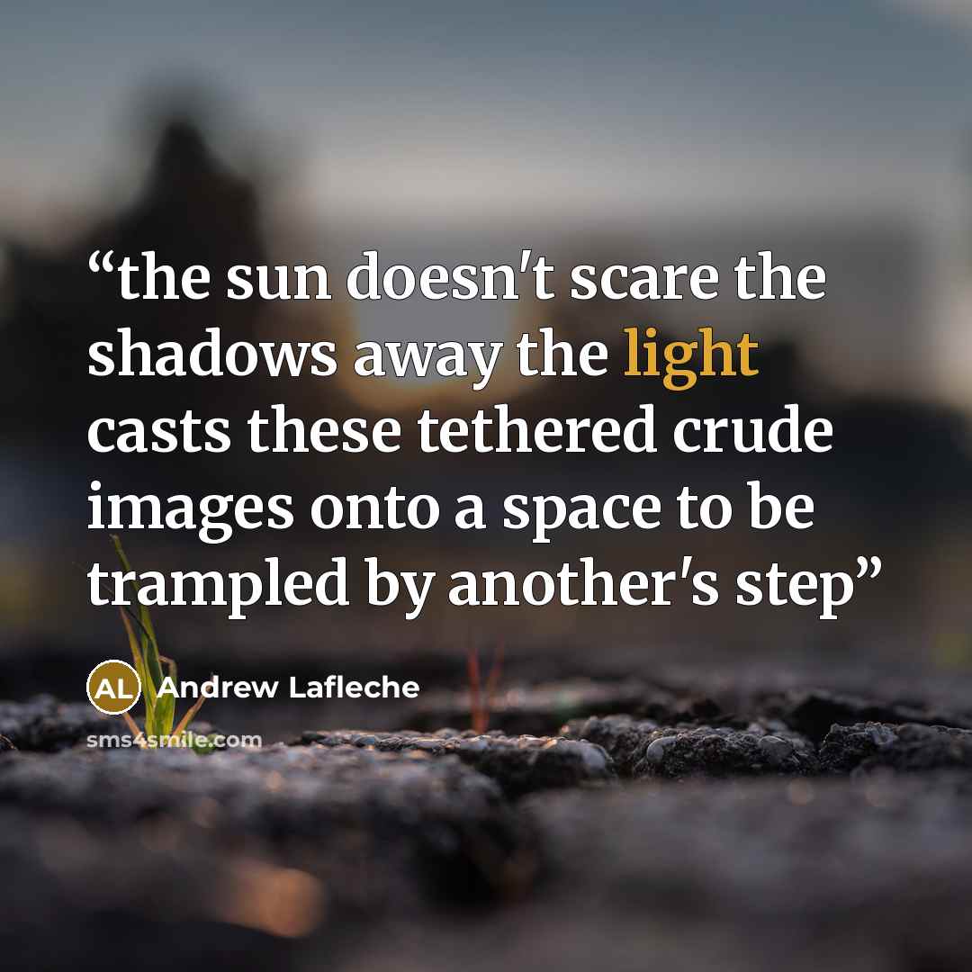 “the sun doesn't scare the shadows away the light casts these tethered crude images onto a space to be trampled by another's step” quote by Andrew Lafleche