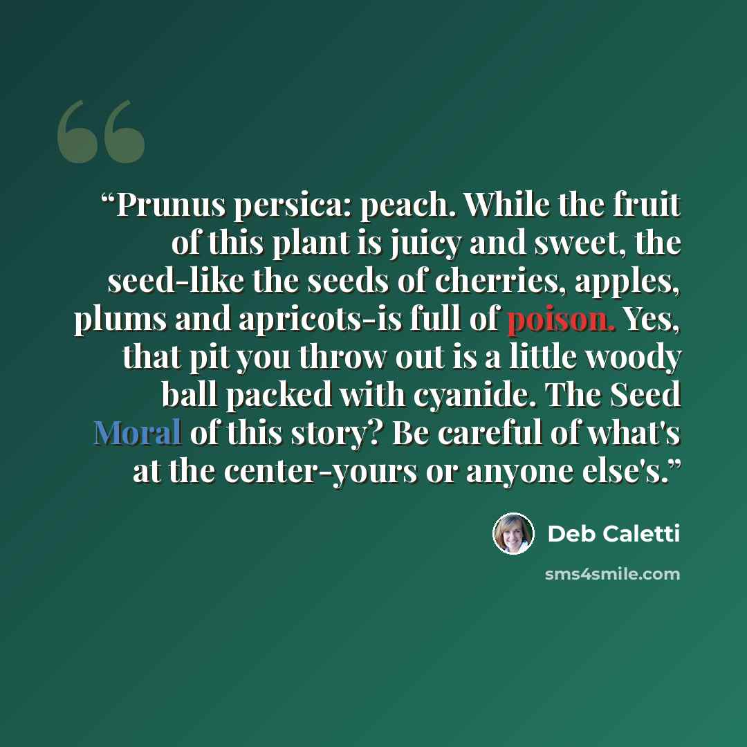 “Prunus persica: peach. While the fruit of this plant is juicy and sweet, the seed-like the seeds of cherries, apples, plums and apricots-is full of poison. Yes, that pit you throw out is a little woody ball packed with cyanide. The Seed Moral of this story? Be careful of what's at the center-yours…” quote by Deb Caletti