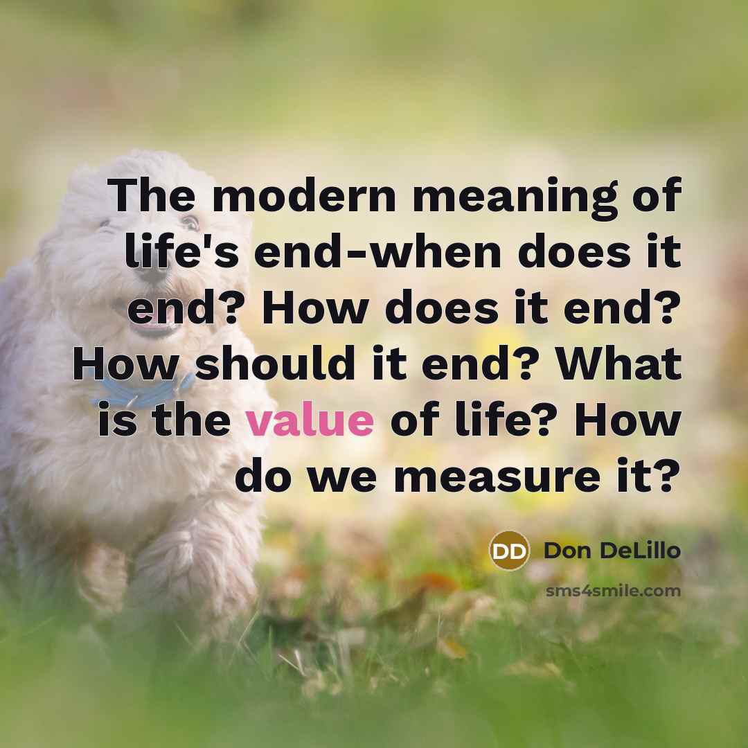 “The modern meaning of life's end-when does it end? How does it end? How should it end? What is the value of life? How do we measure it?” quote by Don DeLillo