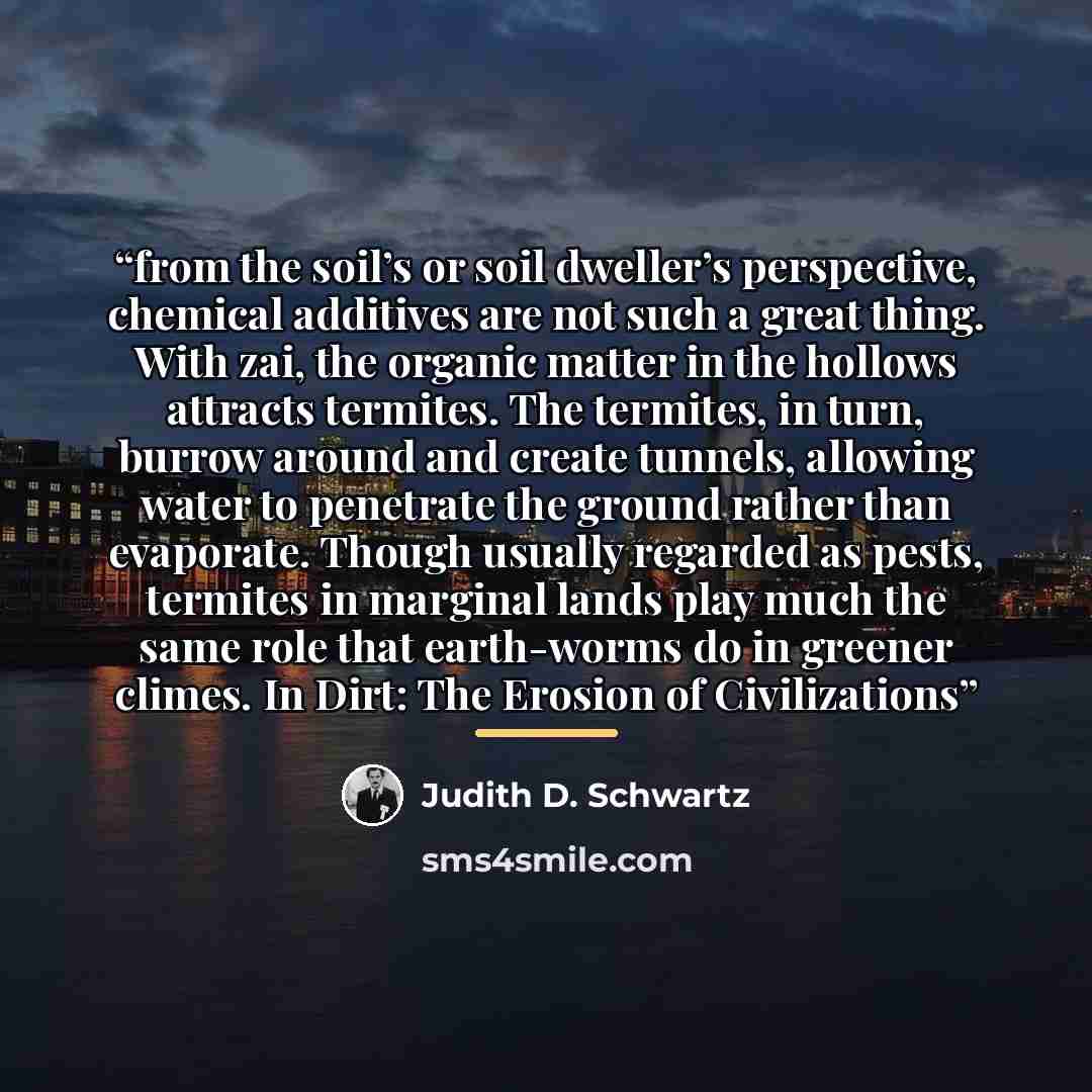 “from the soil’s or soil dweller’s perspective, chemical additives are not such a great thing. With zai, the organic matter in the hollows attracts termites. The termites, in turn, burrow around and create tunnels, allowing water to penetrate the ground rather than evaporate. Though usually…” quote by Judith D. Schwartz