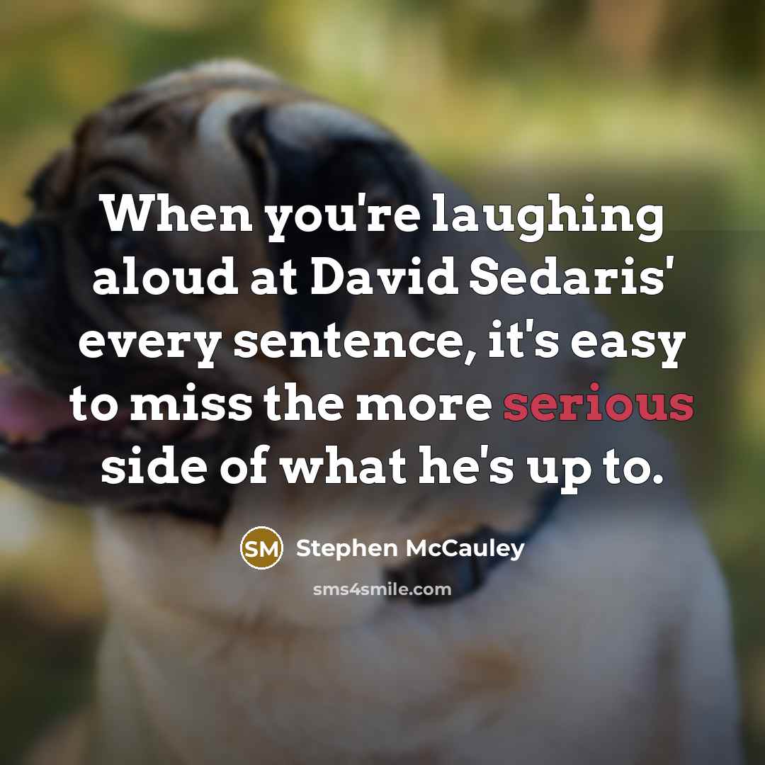 “When you're laughing aloud at David Sedaris' every sentence, it's easy to miss the more serious side of what he's up to.” quote by Stephen McCauley