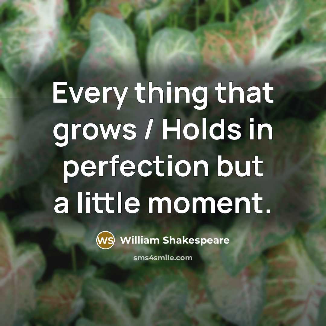 “Every thing that grows / Holds in perfection but a little moment.” quote by William Shakespeare