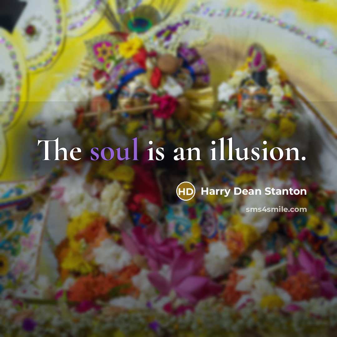 “The soul is an illusion.” quote by Harry Dean Stanton