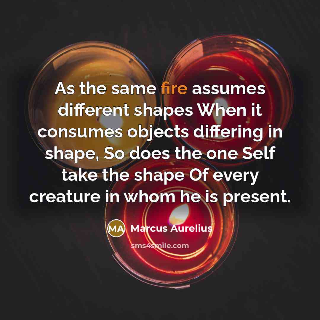 “As the same fire assumes different shapes When it consumes objects differing in shape, So does the one Self take the shape Of every creature in whom he is present.” quote by Marcus Aurelius