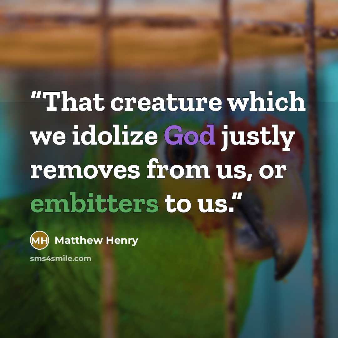 “That creature which we idolize God justly removes from us, or embitters to us.” quote by Matthew Henry
